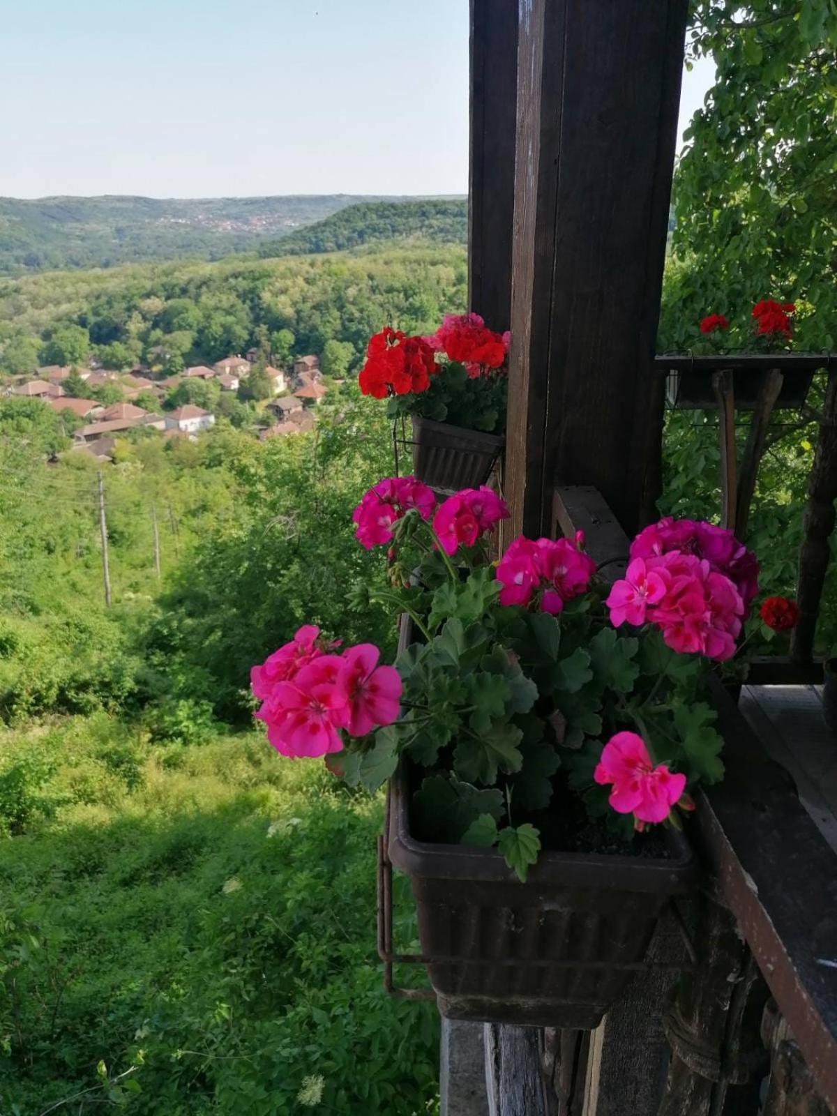 Apartamento Country House Pivnica Milic Rogljevo Exterior foto