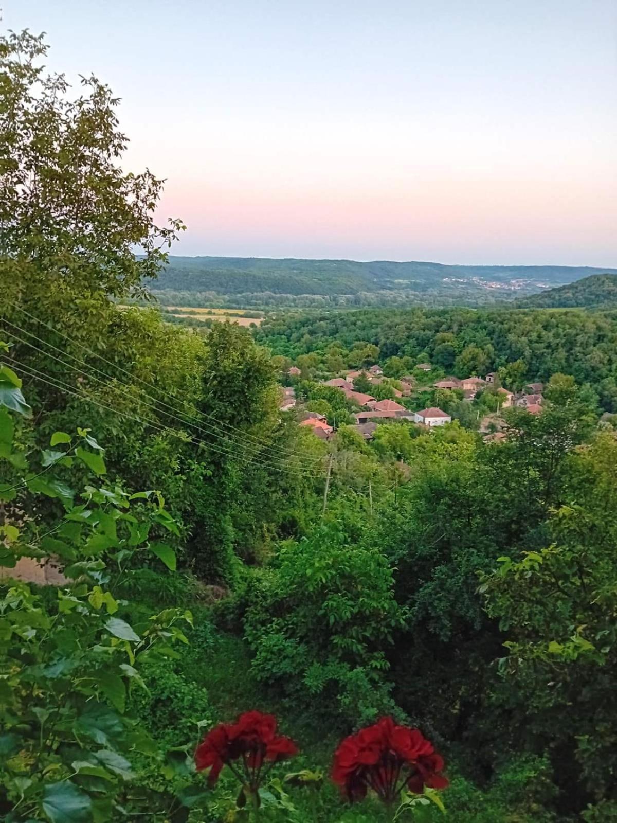 Apartamento Country House Pivnica Milic Rogljevo Exterior foto